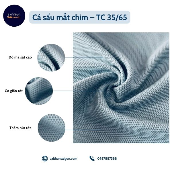 Cá sấu mắt chim – TC 35_65