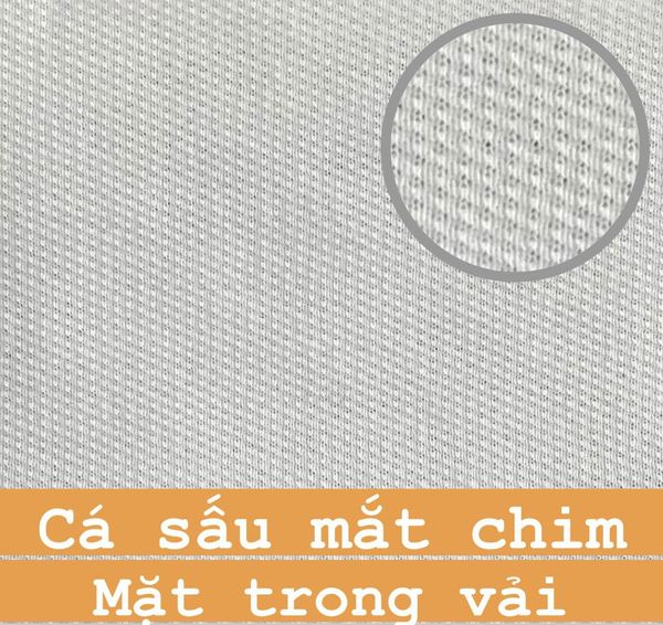 Mặt trong vải cá sấu mắt chim TC