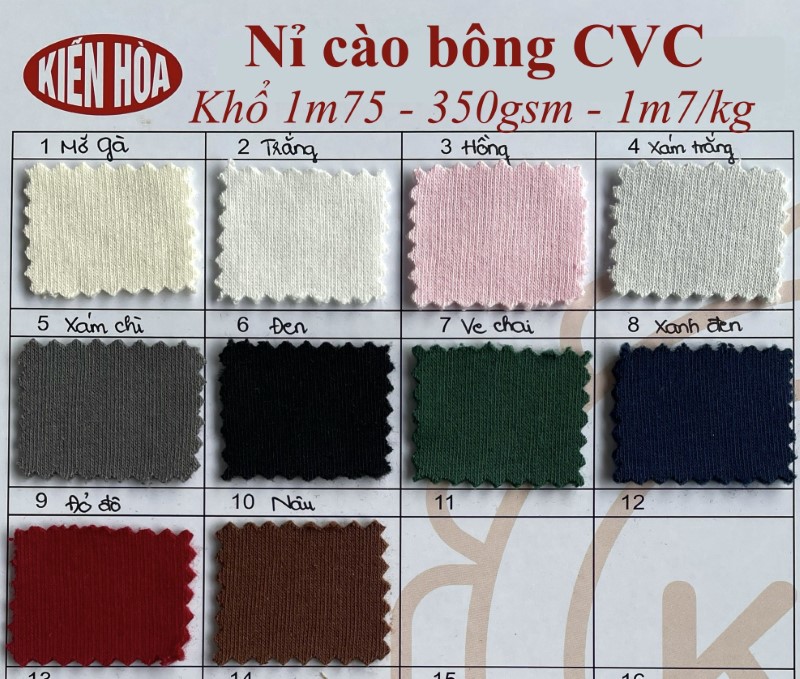 Bảng màu nỉ cào bông CVC